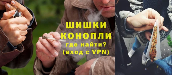 бошки Алексин