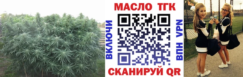 Дистиллят ТГК гашишное масло  Александровск-Сахалинский 